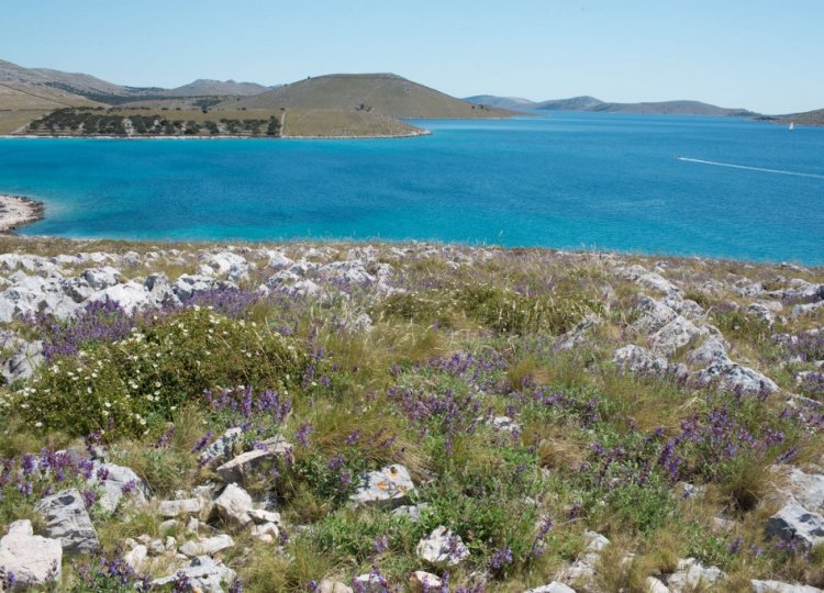 Igor Tomljenović NP Kornati