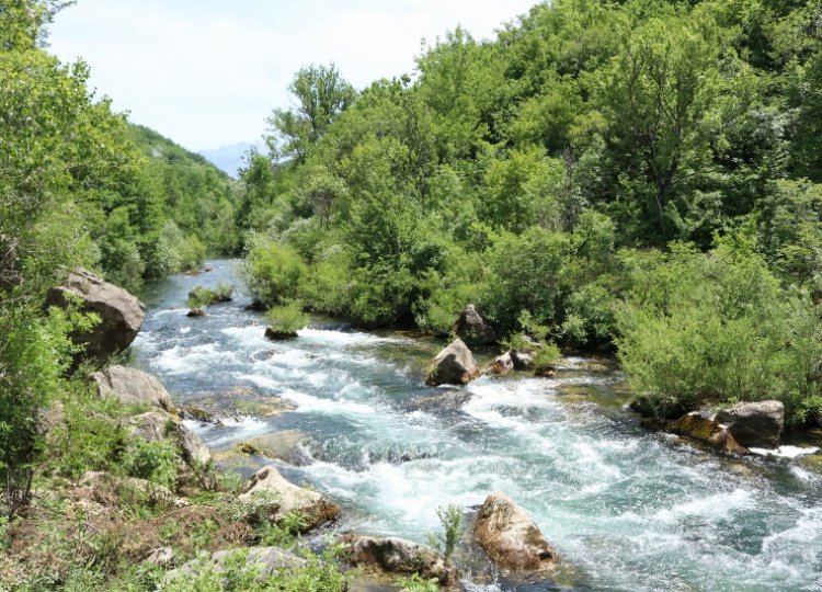 Rafting auf dem Fluss Cetina 
